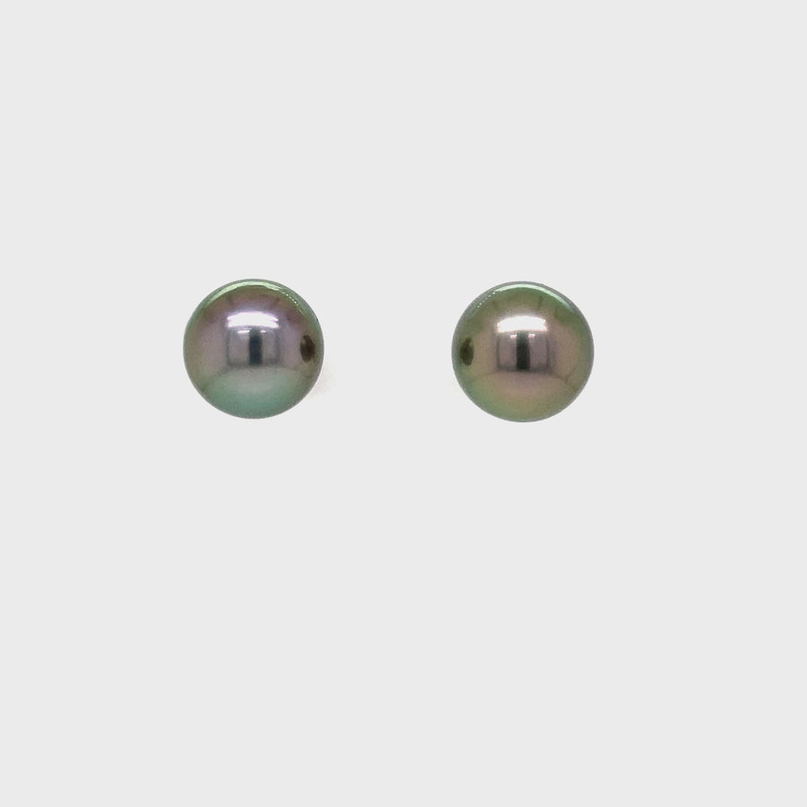 Tahitian Pearl & White Gold Stud Earrings