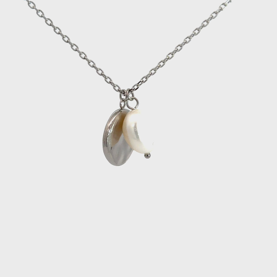 Stainless Steel, Pearl & Disc Necklet