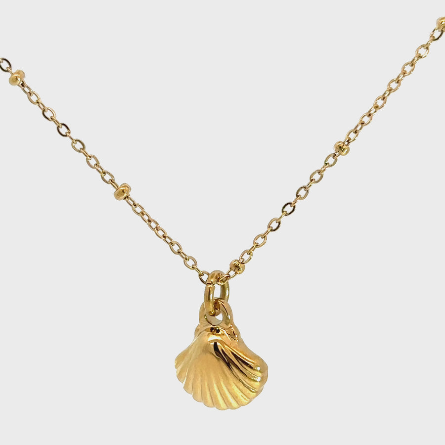 Yellow Gold Plated Stainless Steel Shell Necklet
