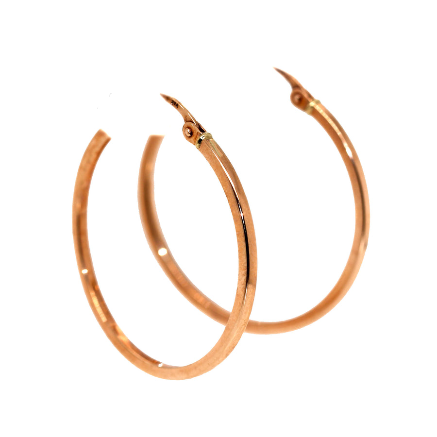 Small Rose Gold Hoops