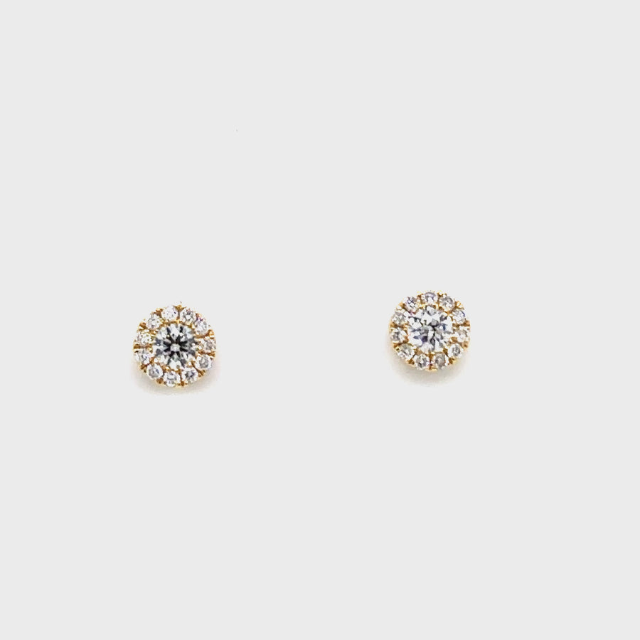 Diamond & Yellow Gold Halo Studs