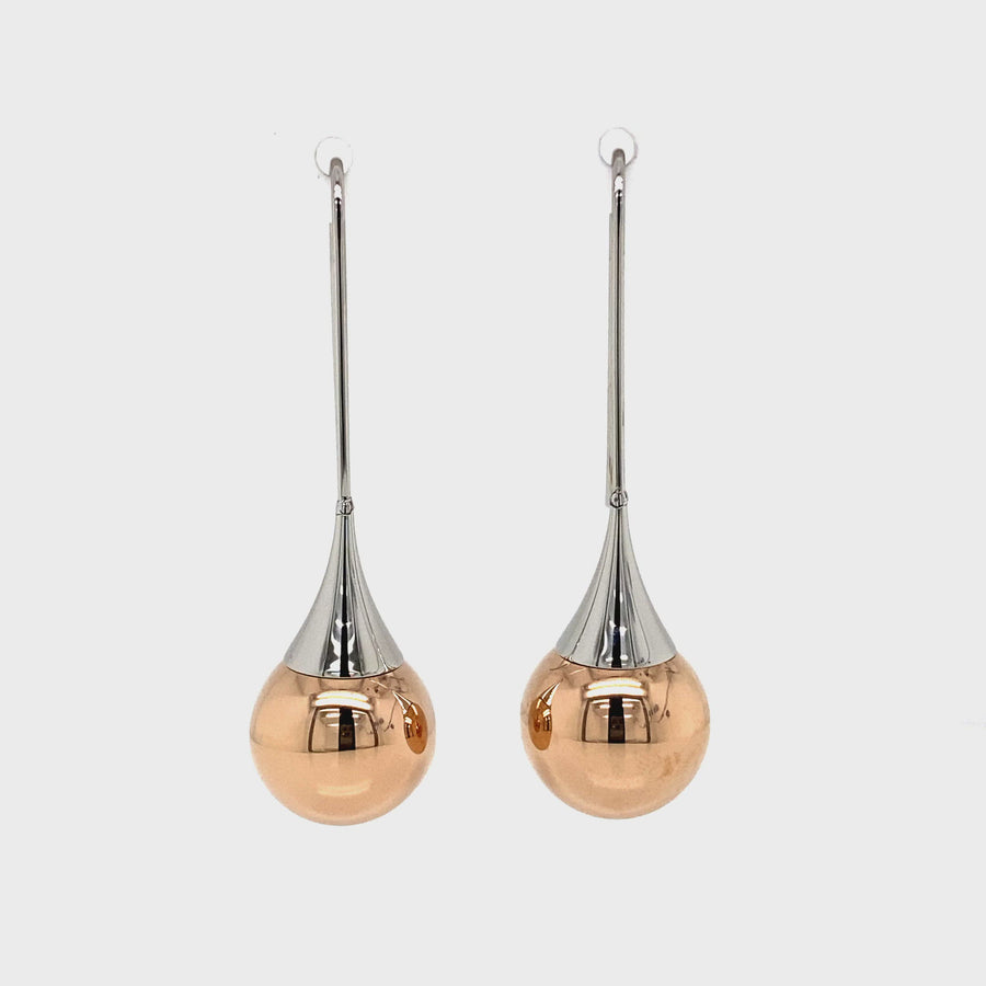 Stainless Steel & Rose Gold Plated Drop Earrings